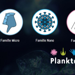 familles plankton