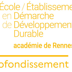 E3D Niveau_2 approfondissement