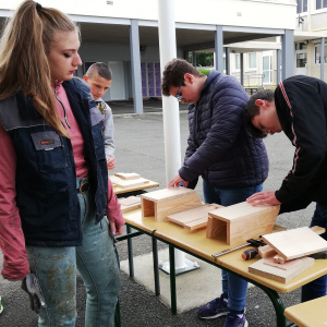 nichoirs moncontour 2